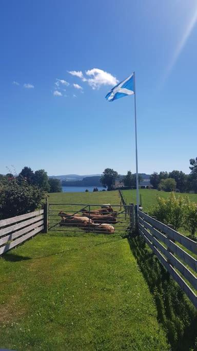 Cosy 2 Bedroom Croft Cottage With Beautiful Views North Kessock Экстерьер фото